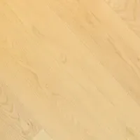 トリニティの新しい挑戦