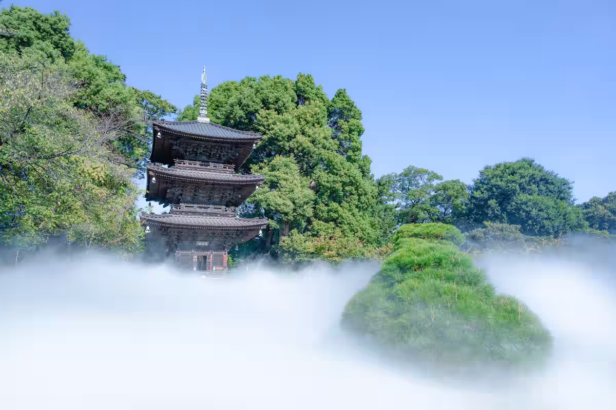 画像11