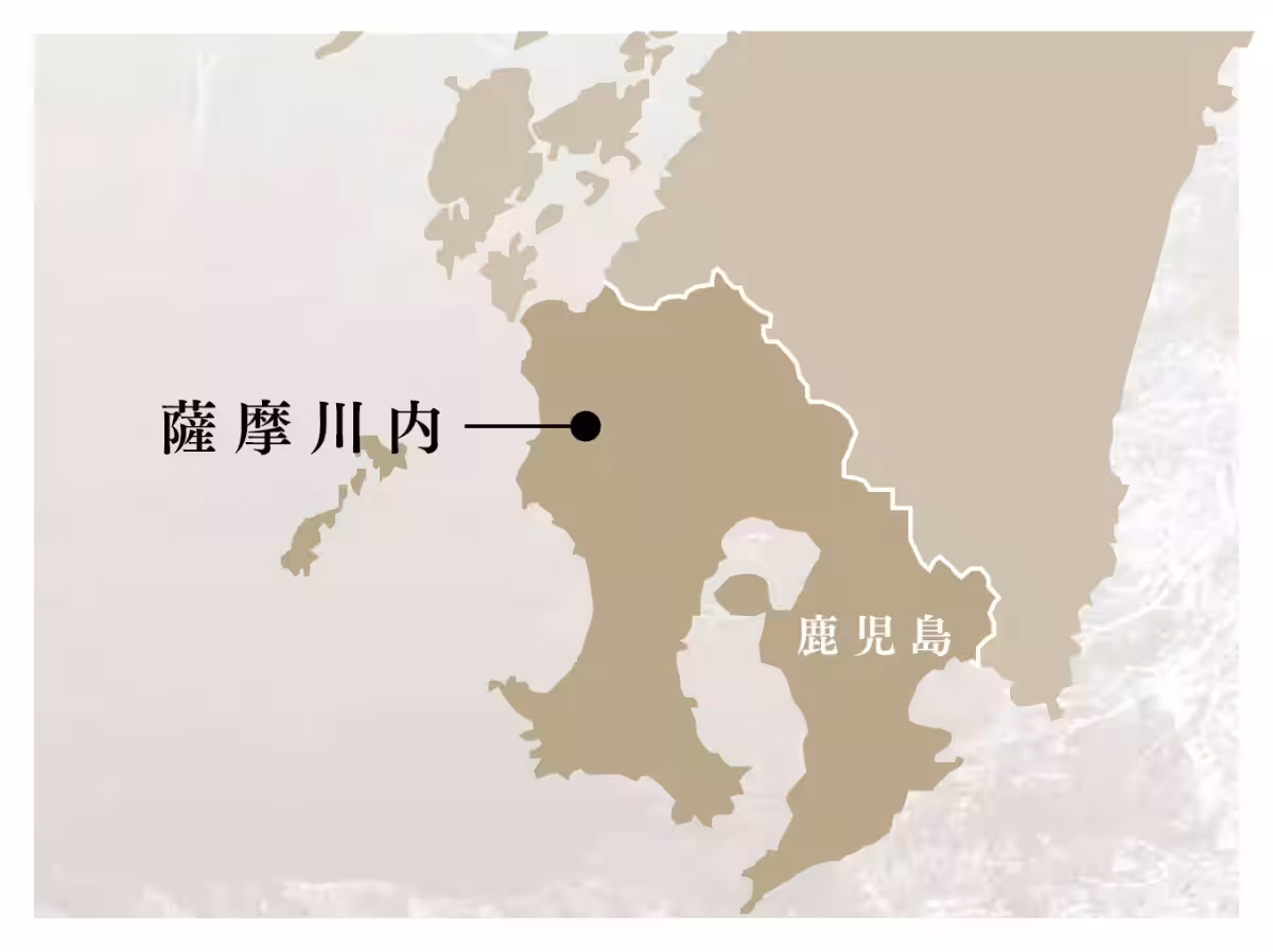 画像14