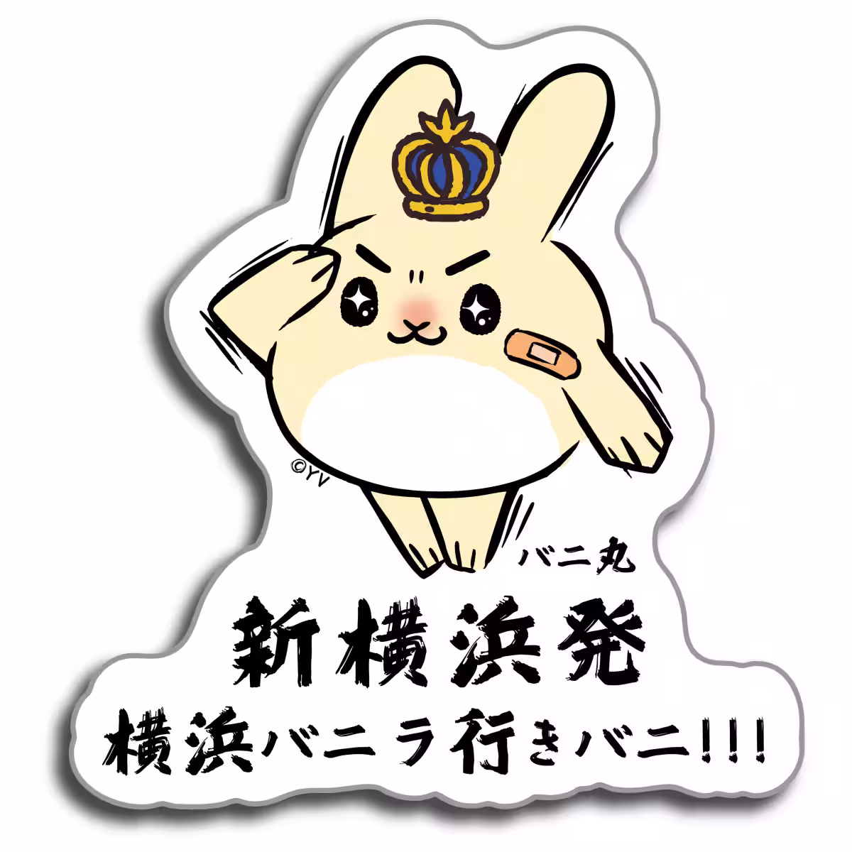 画像4