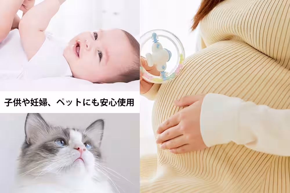 画像10