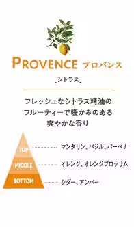 画像11