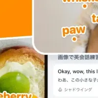 SayWowの英語学習