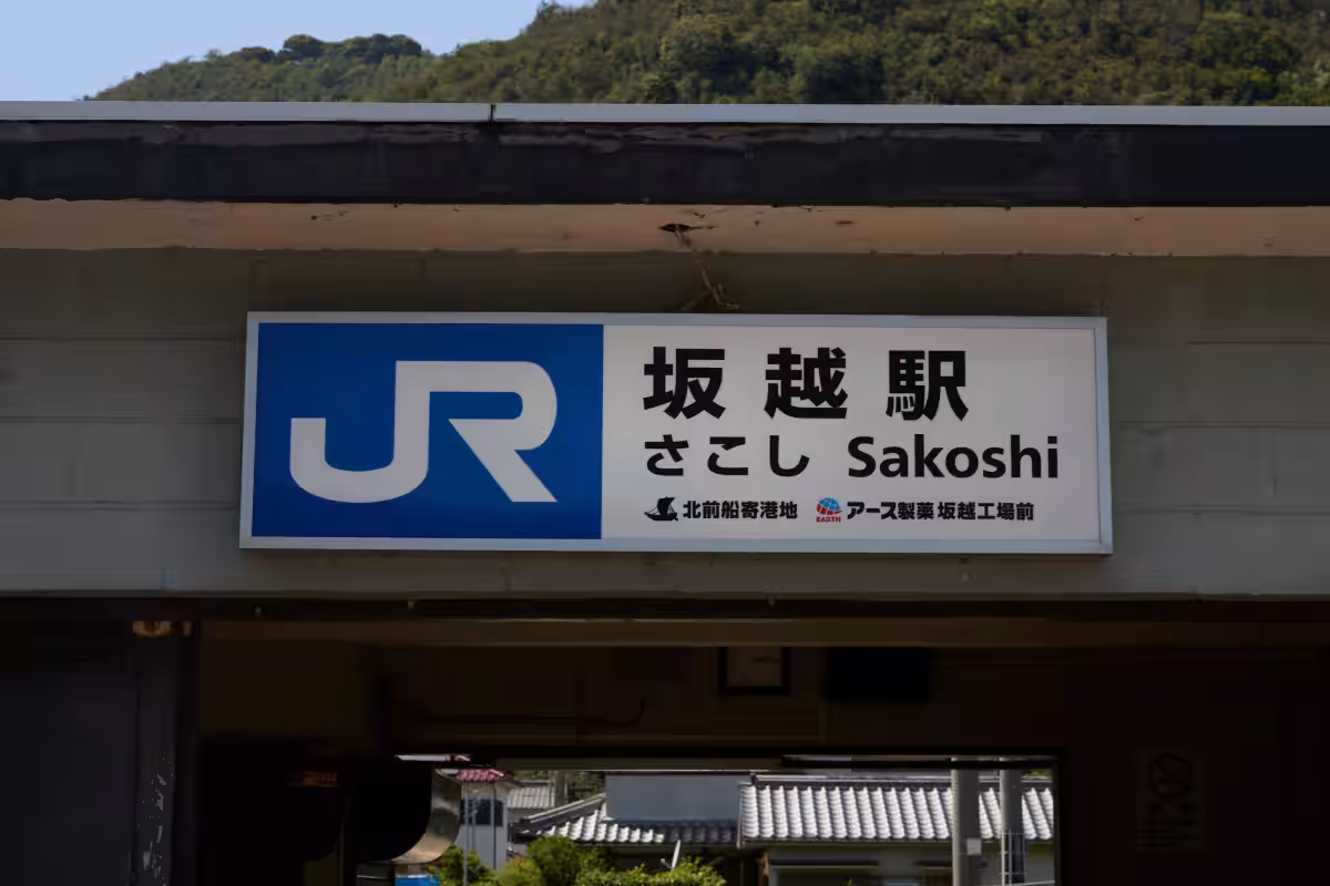 画像17