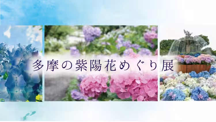 画像11