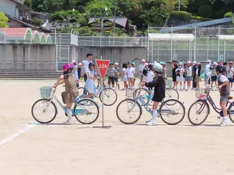 画像5