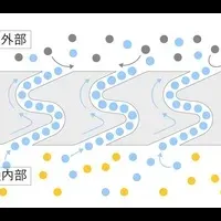 ドトールの脱プラ挑戦