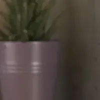 Neat Frame特別価格