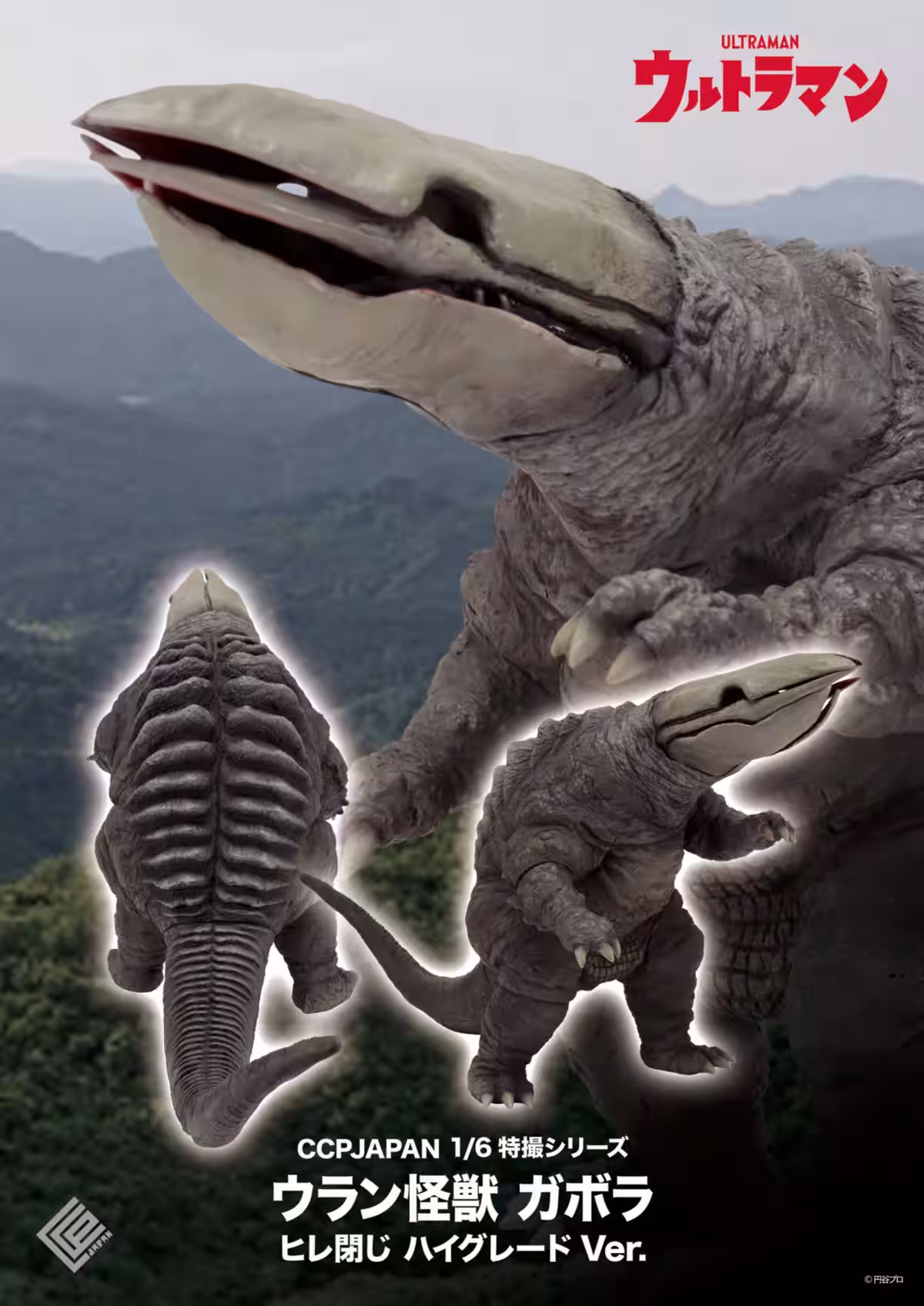 画像7