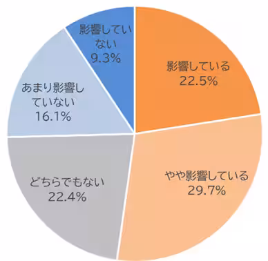 画像14