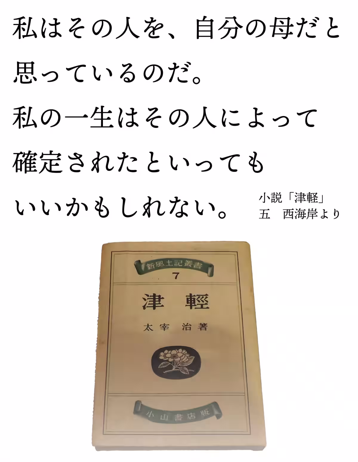 画像17