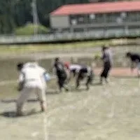 田んぼのオーナー制度