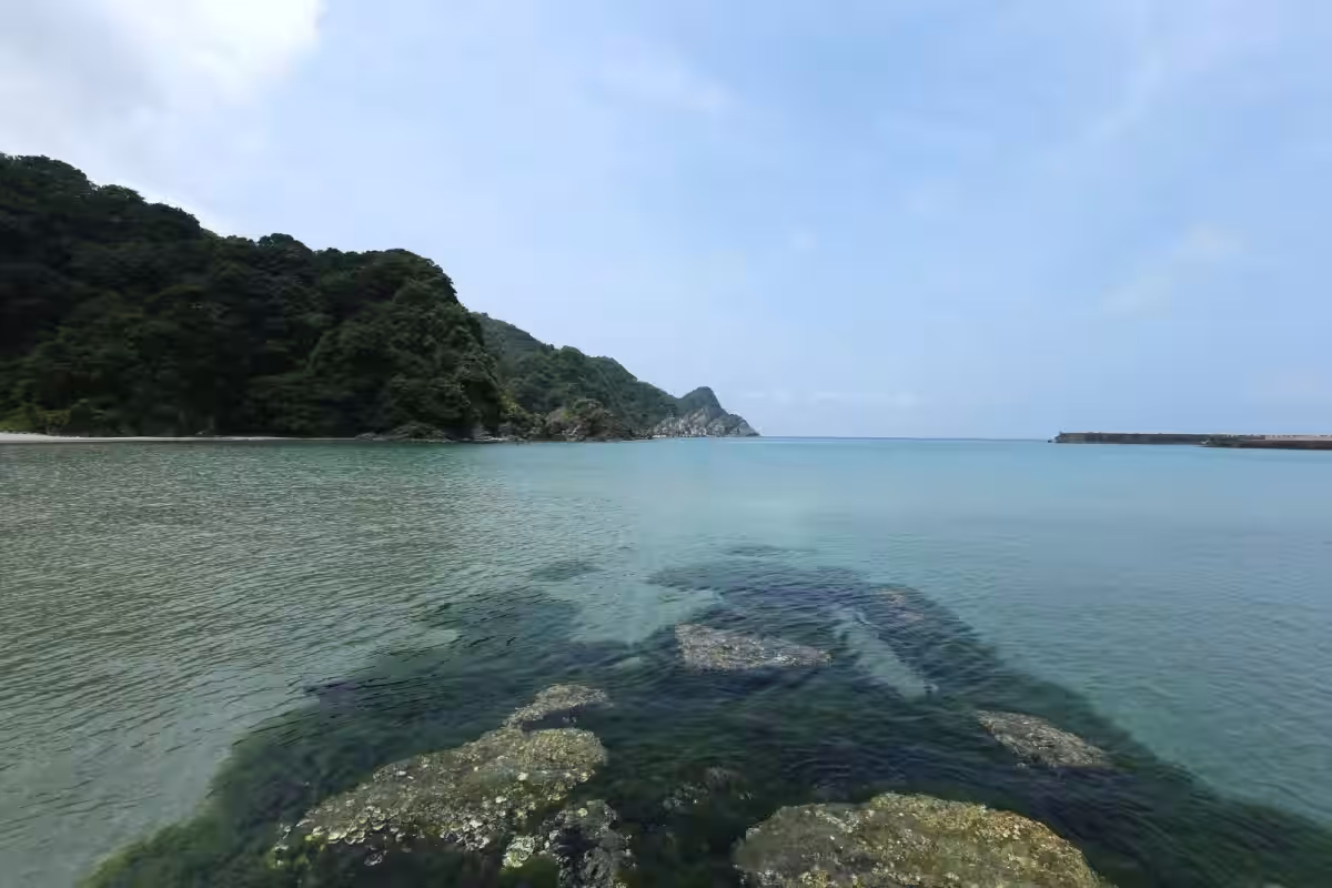 画像8