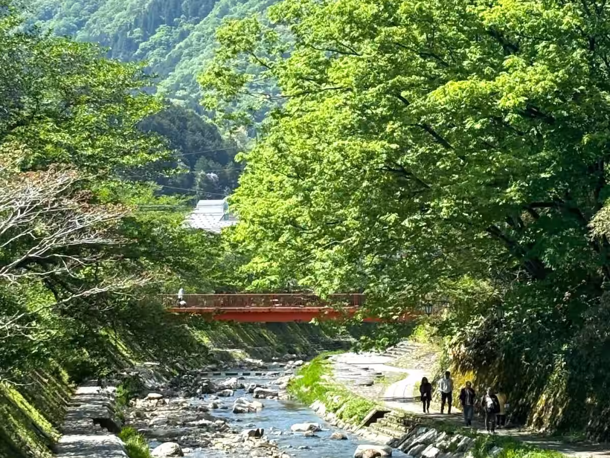 画像11