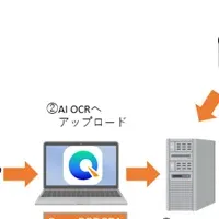 業務自動化の実績