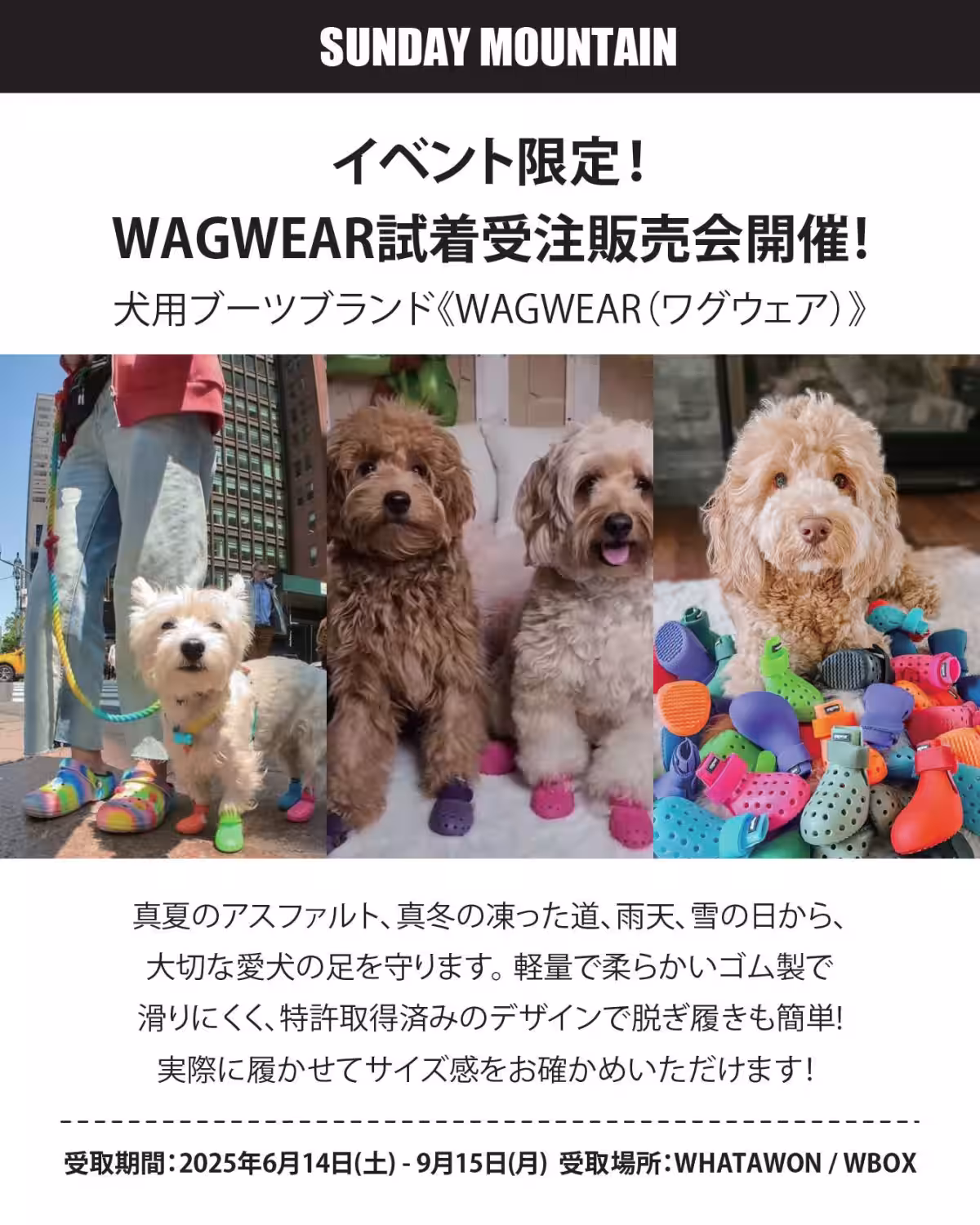 画像6