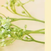 にしむらゆうじジュエリー