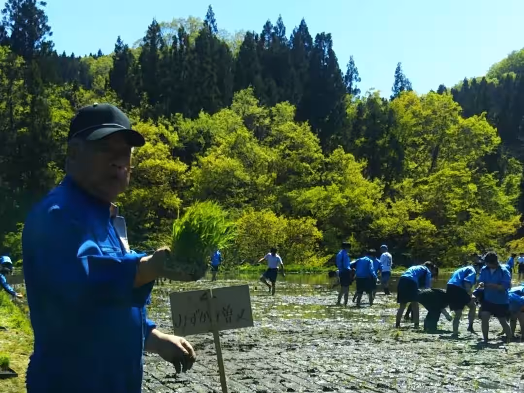 画像5