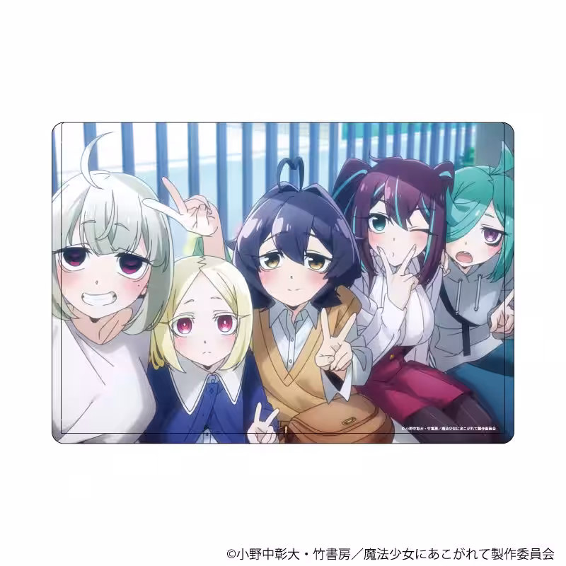 画像15