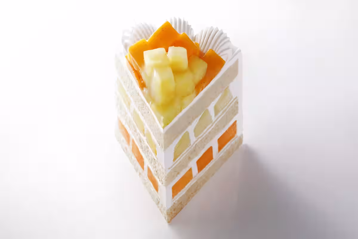 画像9