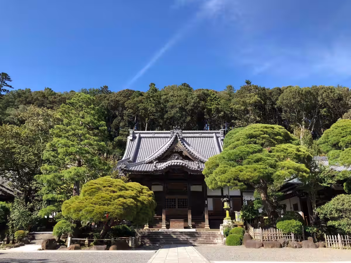 画像18