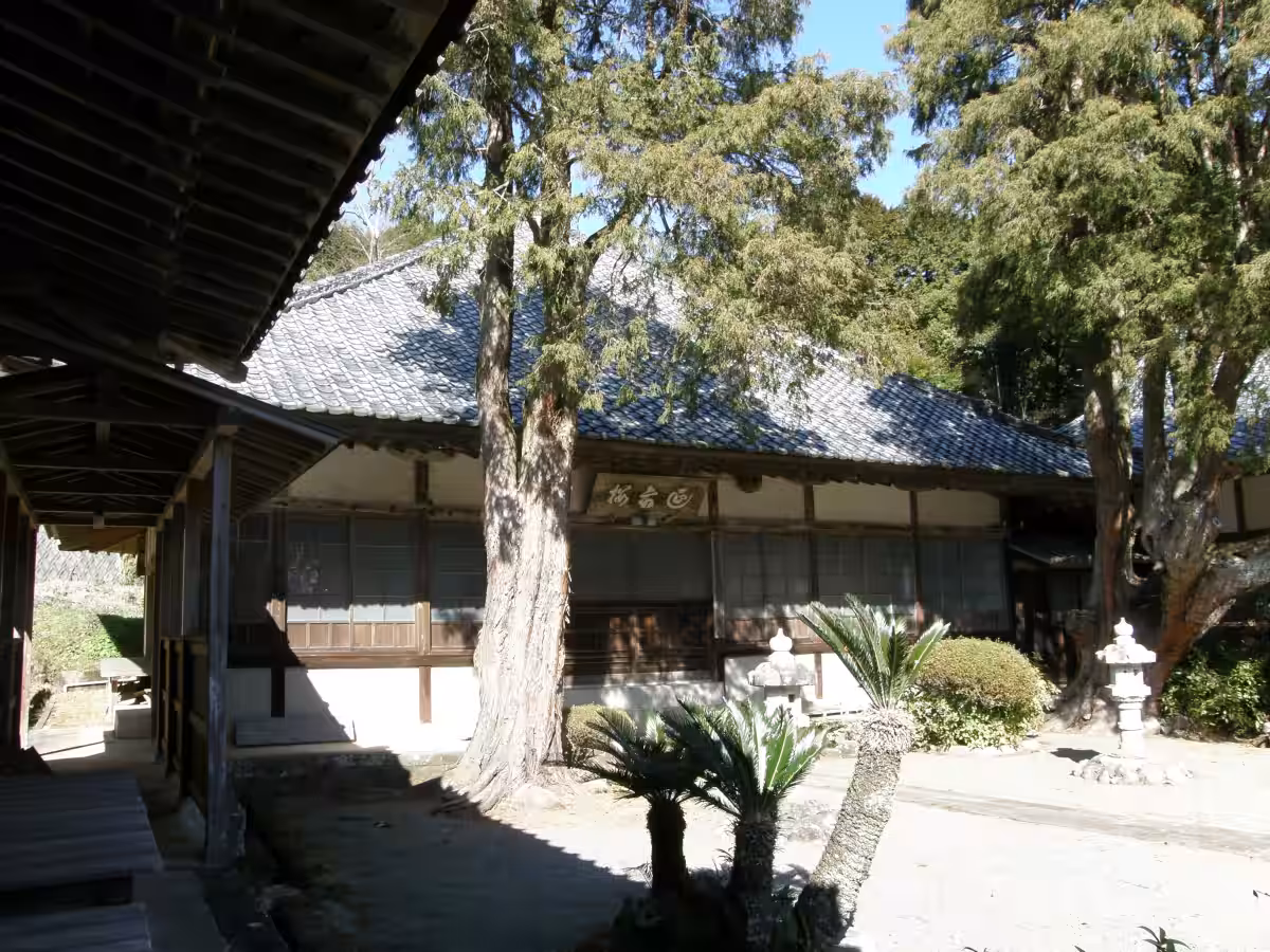 画像14