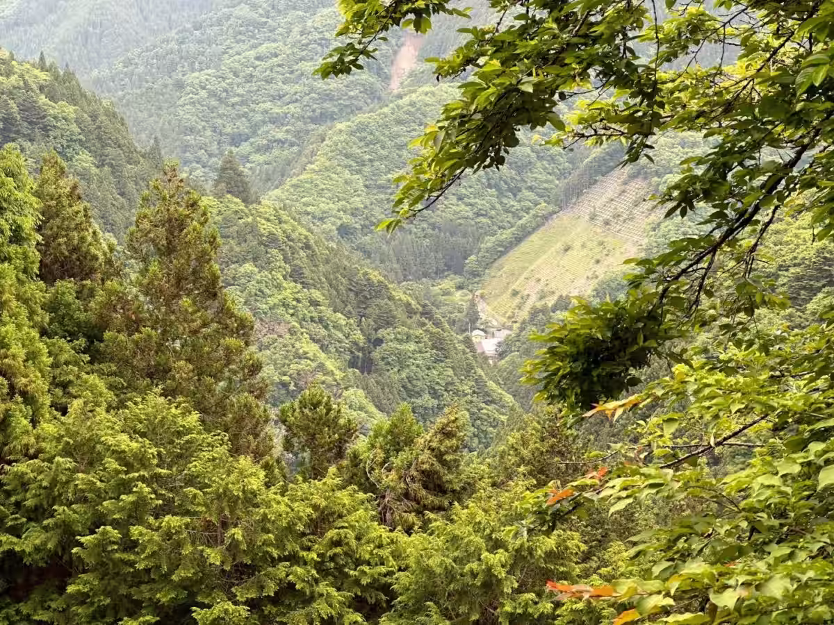 画像5