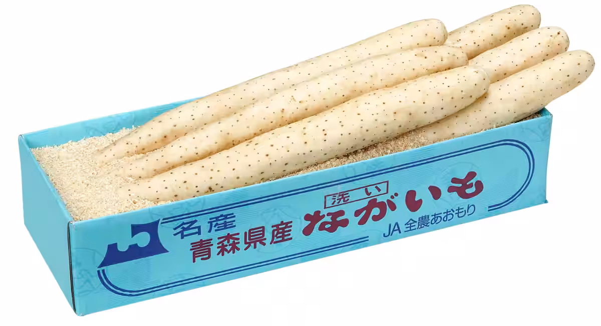 画像4