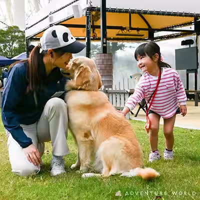 画像21