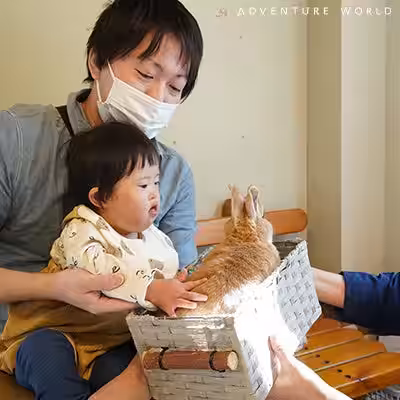 画像17
