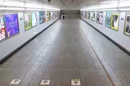 画像15