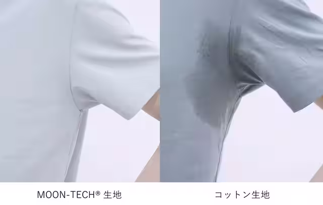 画像19