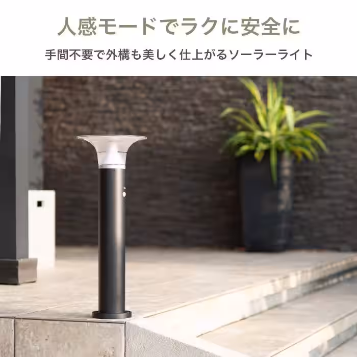 画像12