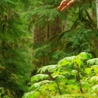 梅雨を楽しむCotopaxi