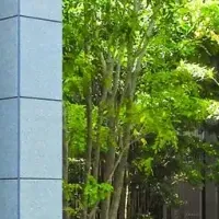 億ション市場の成長