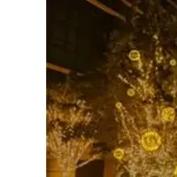 竹あかりの魅力