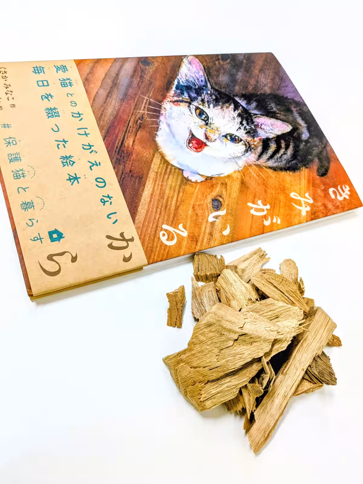 画像1