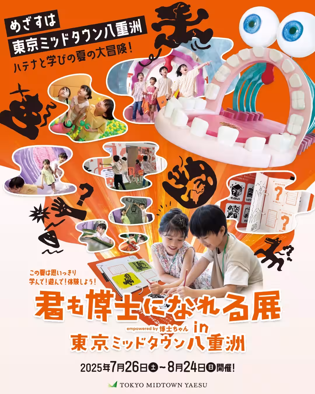 画像12