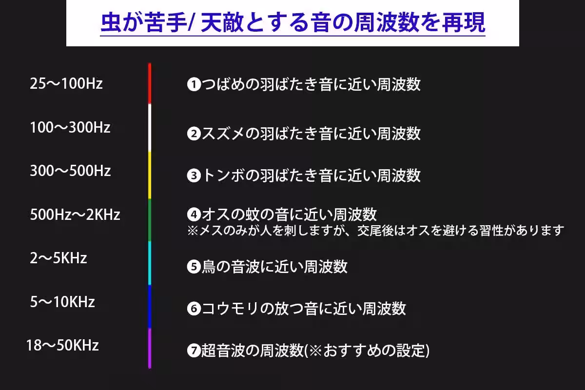 画像12