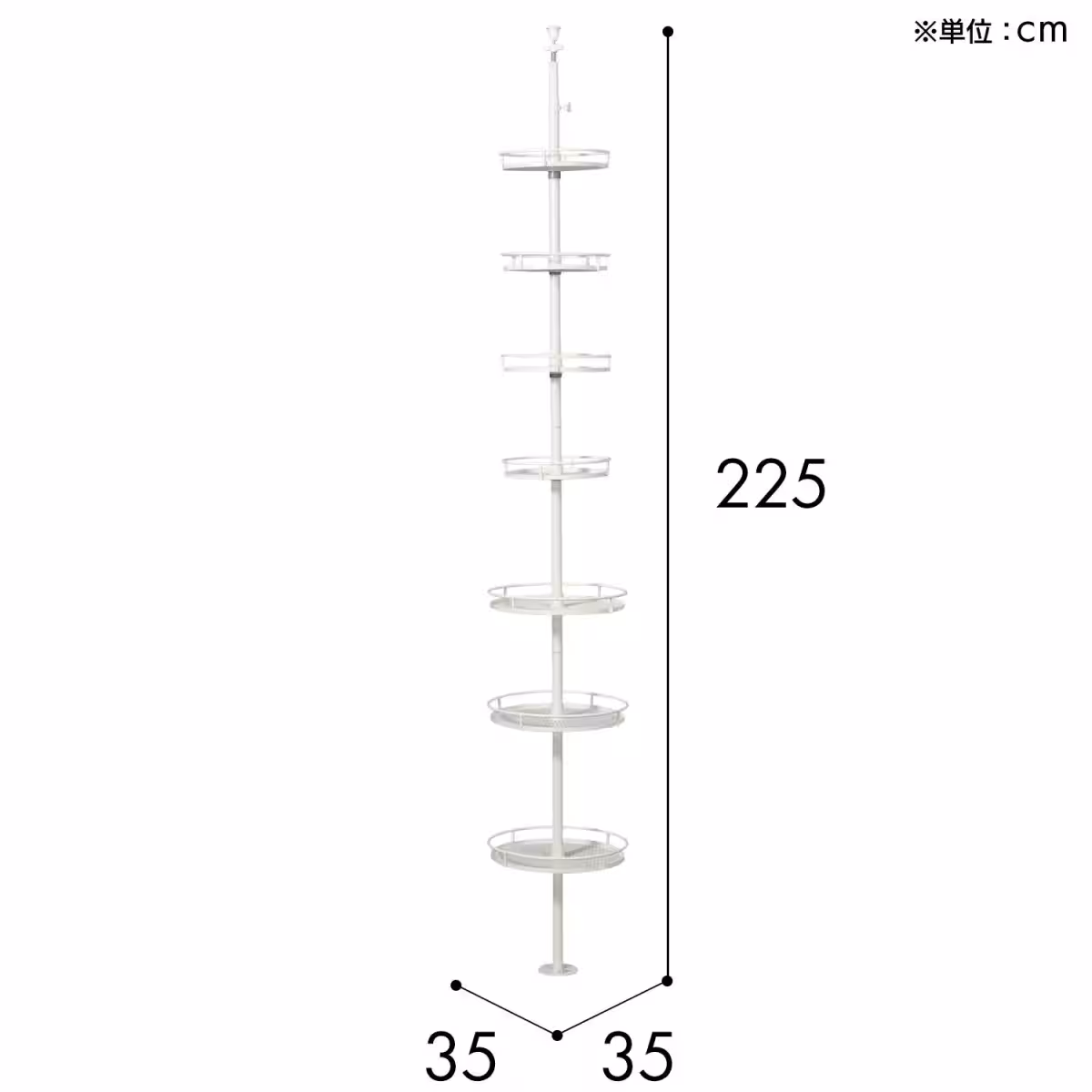 画像11