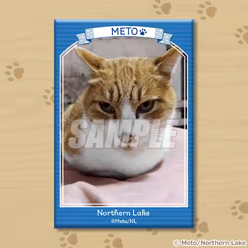 画像9