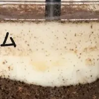 飲むティラミス登場