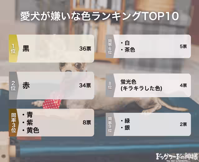画像7