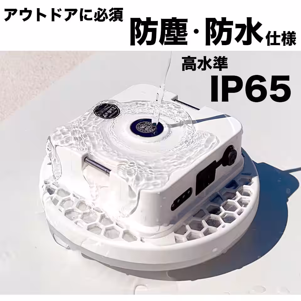 画像4