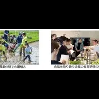 食育白書の展望