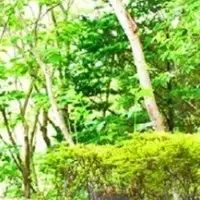 熱海で贅沢リゾート