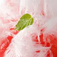 鳥取すいかのかき氷