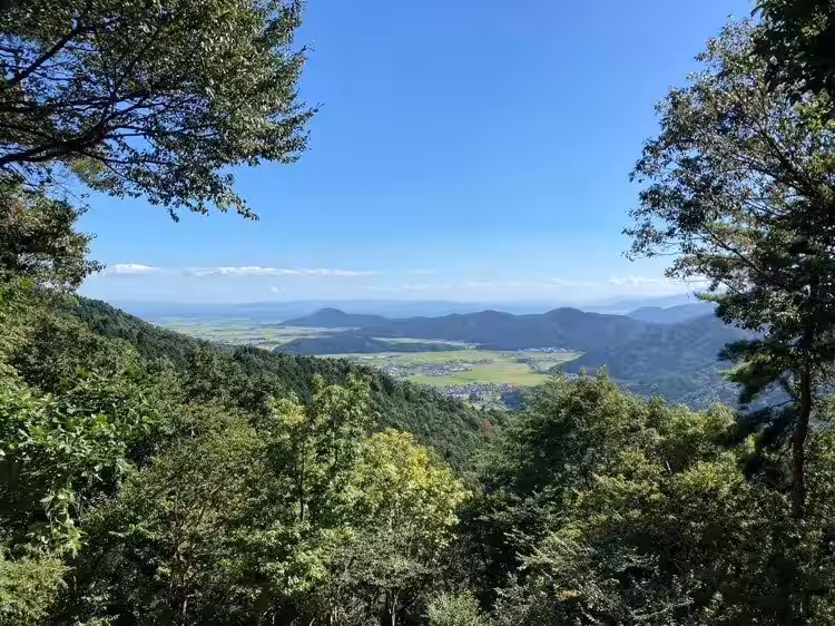 画像2