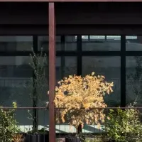 六本松「The Arbor office」