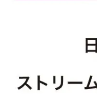 IR資料作成支援